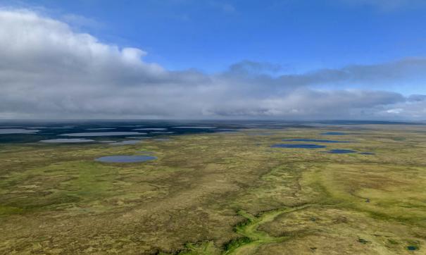 Новые участки относятся к малоизученным территориям