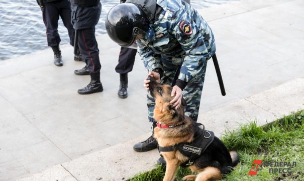 Полицейский с собакой
