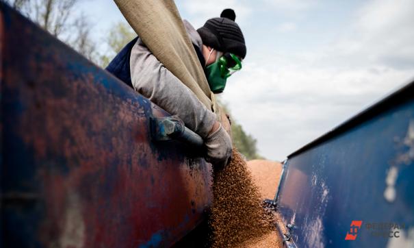 В портах Украины скопилось 25 миллионов тонн зерна