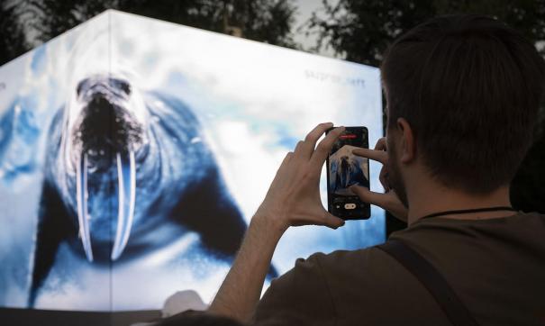 Ледяной куб в Зарядье