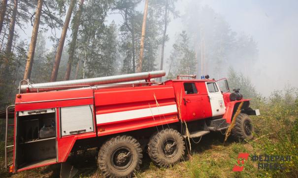 На Дону устанавливают причины пожара, нанесшего ущерб лесу и людям