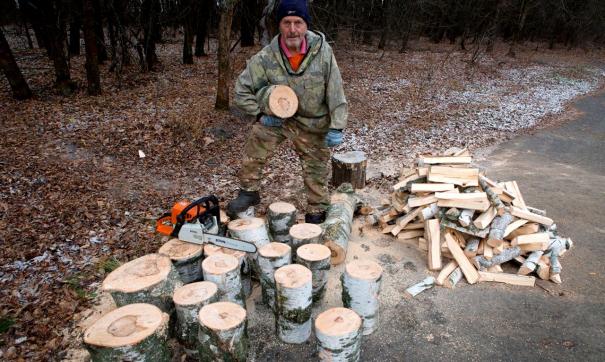 Тюменец нанес вред лесу на 41 рубль