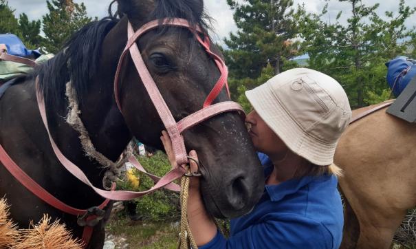 Полиция проводит проверку по сообщениям в соцсетях о жестоком обращении с жеребенком в ишимском конном клубе