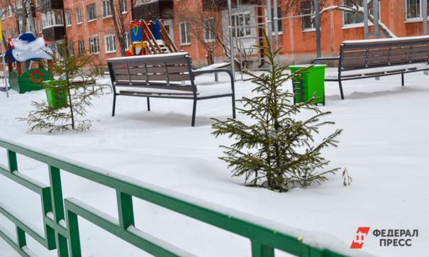 Благоустройство территории двора