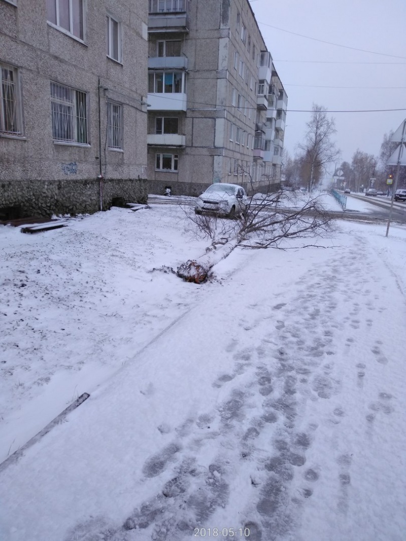 В области выпал снег. Снегопад Свердловская область. Снег в Свердловской области. В Свердловской области выпал снег. Жигулевск в снегопад.