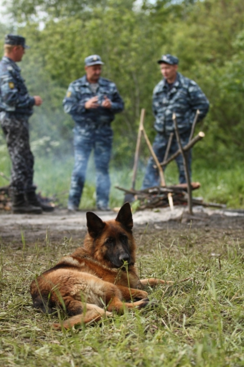 Фото: МВД.рф.