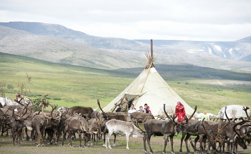 Фото: правительство ЯНАО