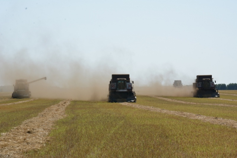 Фото: Минсельхоз Челябинской области