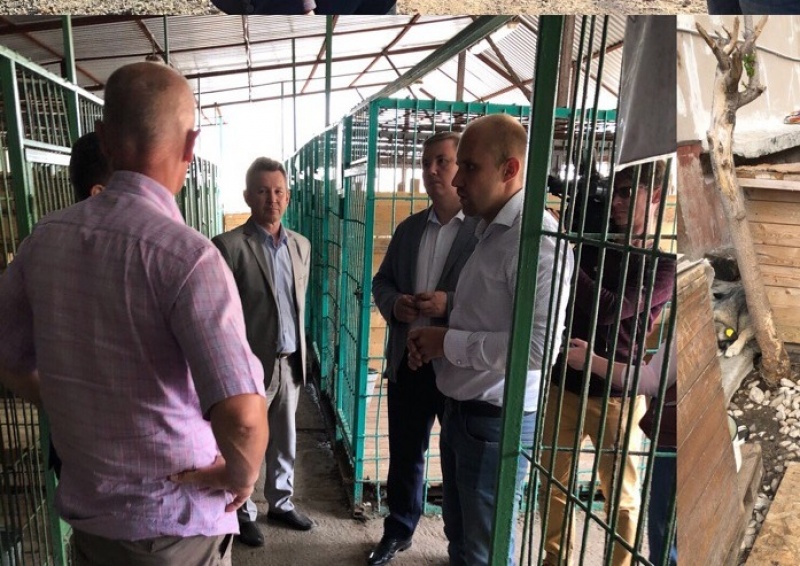 «Островок надежды» сравнили с условиями содержания в муниципальном учреждении