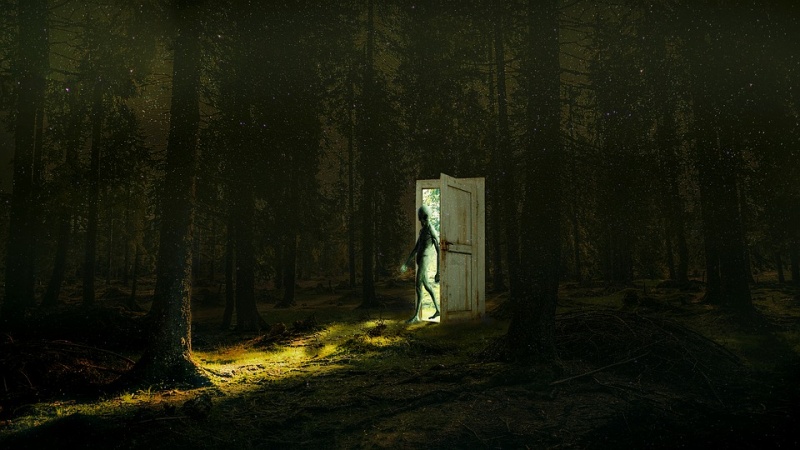 дверь в лесу