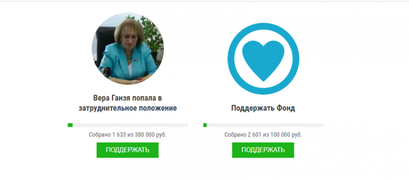 В Екатеринбурге объявили сбор средств для депутата, которая жаловалась на зарплату в 380 тысяч рублей