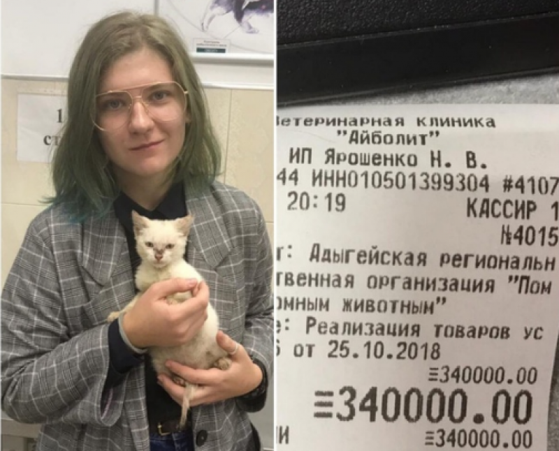 Жительница Майкопа оплатила 340 000 рублей долга приюта для животных ради котенка