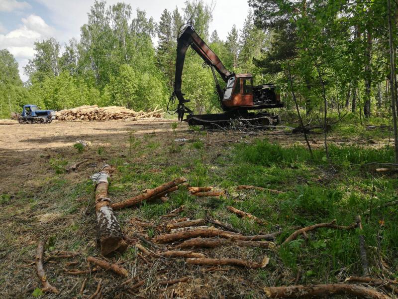 Лесорубы нанесли ущерб территории на 15 миллионов рублей