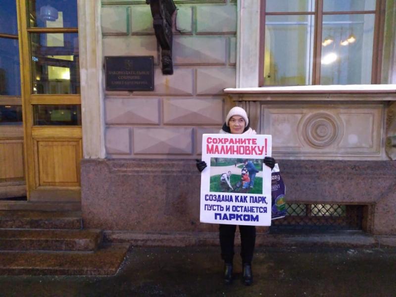 В Санкт-Петербурге активистка устроила пикет у заксобрания