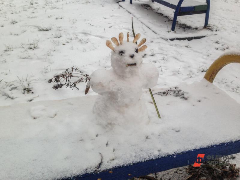 Жители Ленобласти устроили митинг снеговиков из-за незаконной дороги