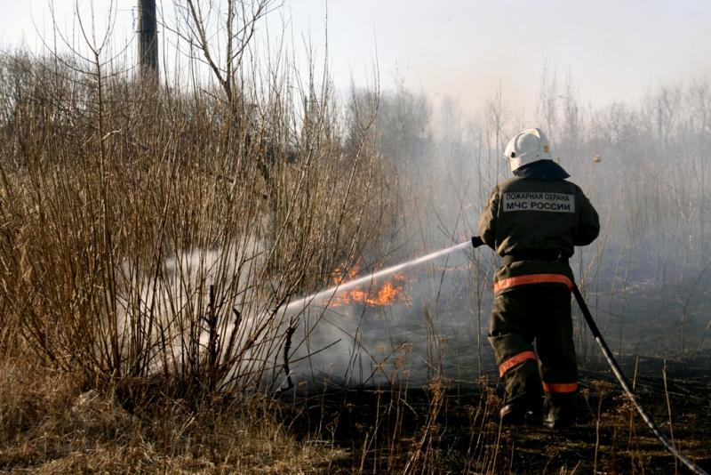 В Чернобыльской зоне отчуждения загорелся лес