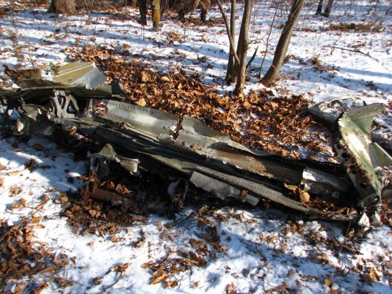 Раскрыты тайные данные об упавшем военном самолете в Приморье