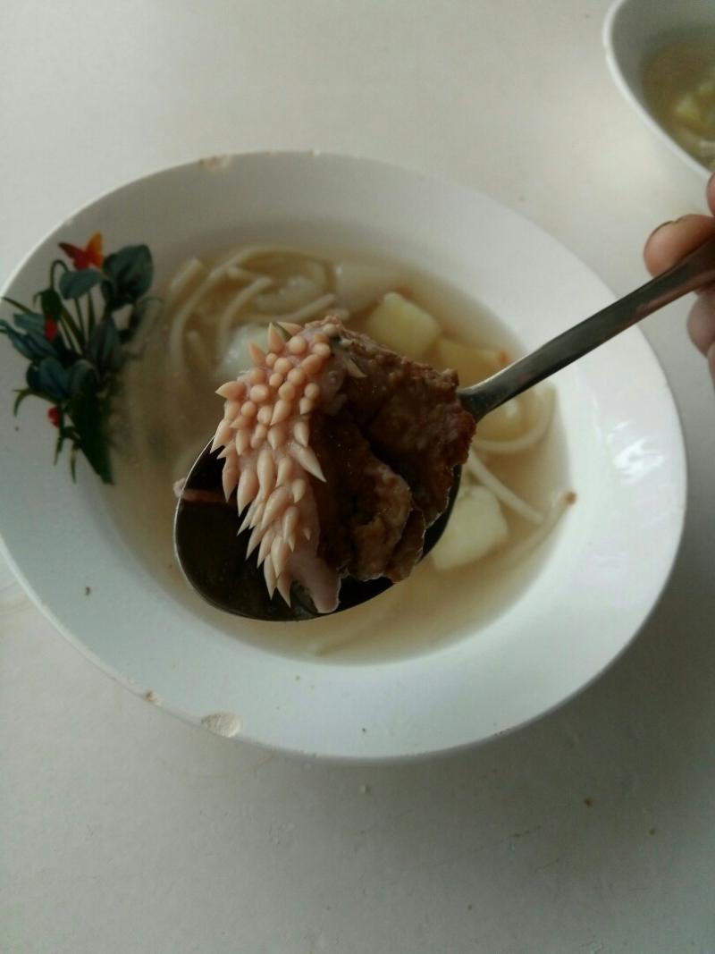 В школе Юргамыша сварили суп из кусочков птеродактиля