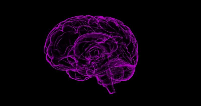 Ученые рассказали, что может омолодить мозг
