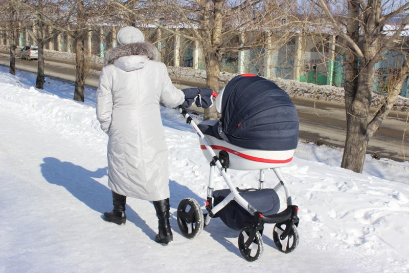 В Петербурге у невнимательной няни коляска с малышом скатилась в реку