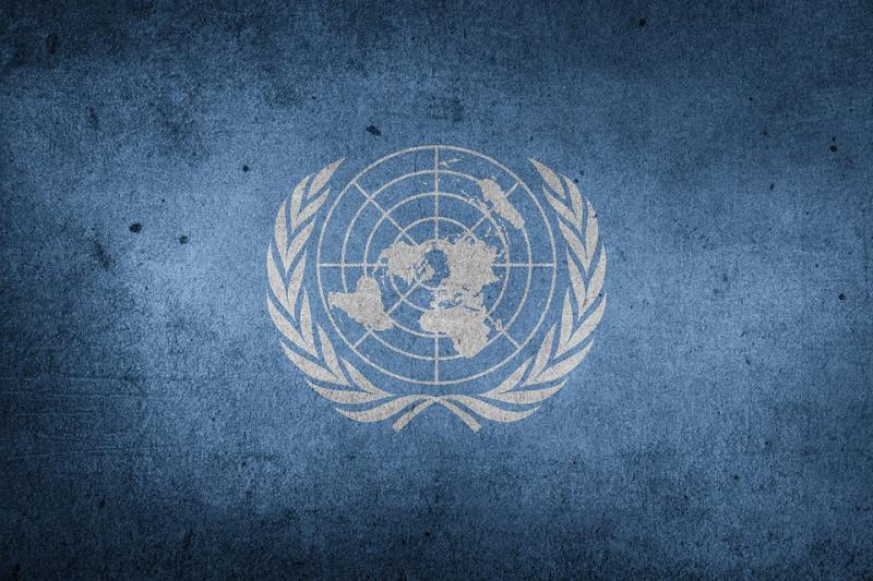 Эксперты ООН оценили незаконный оборот человеческих органов в мире