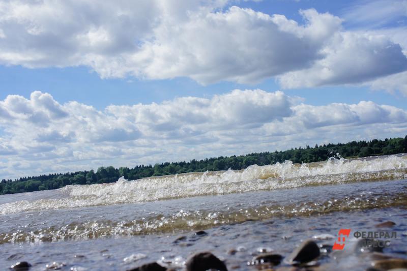 Активисты в Ленобласти нашли виновных в загрязнении проточной воды испражнениями