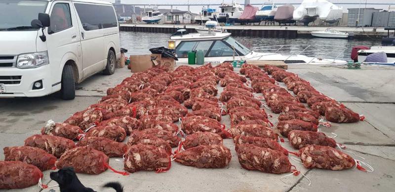 Приморские браконьеры пытались продать за рубеж тонну краба