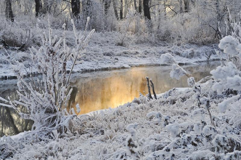В большинстве сибирских регионах выпал снег