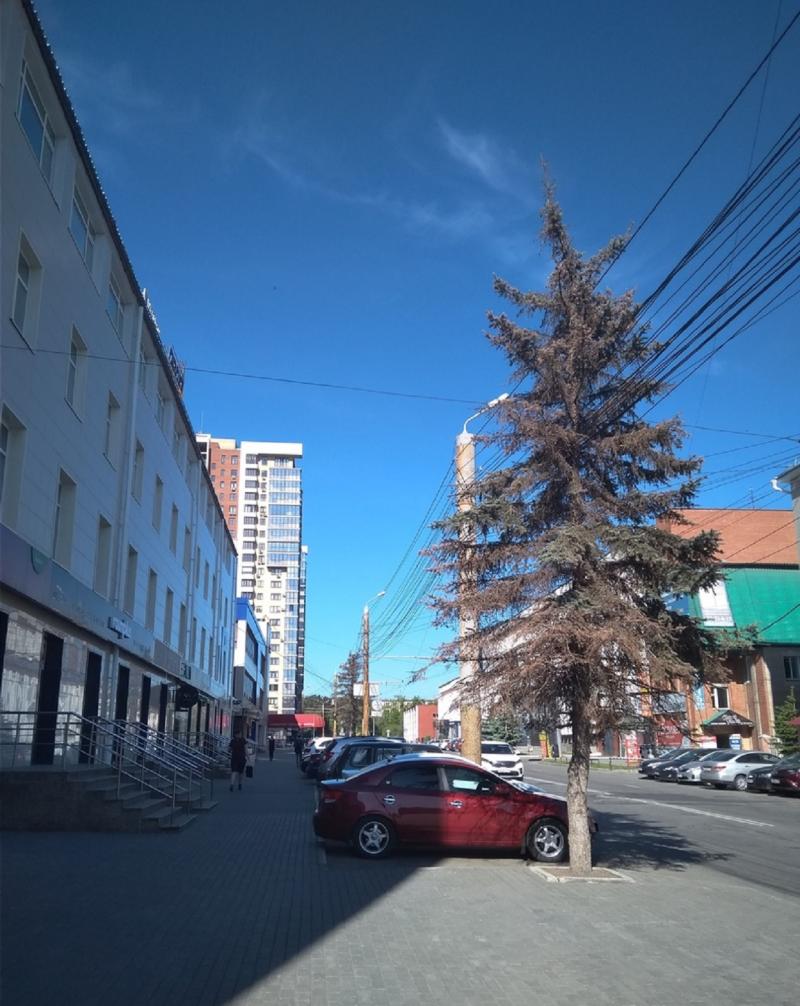 В Челябинске общественники бьют тревогу