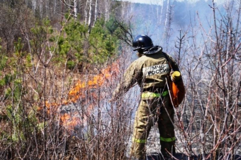Пожары в Курганской области мобилизовали службы Южного Урала