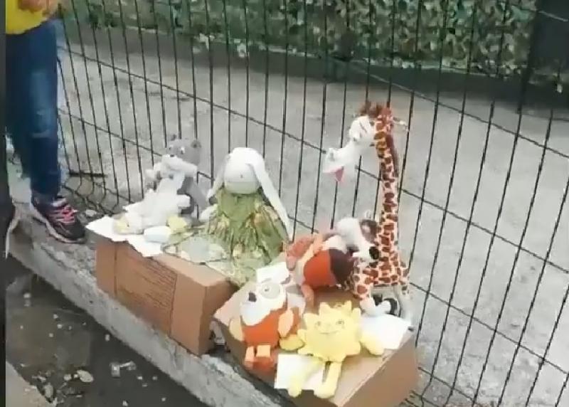 Детям из Владивостока пришлось продать свои игрушки, чтобы купить еды
