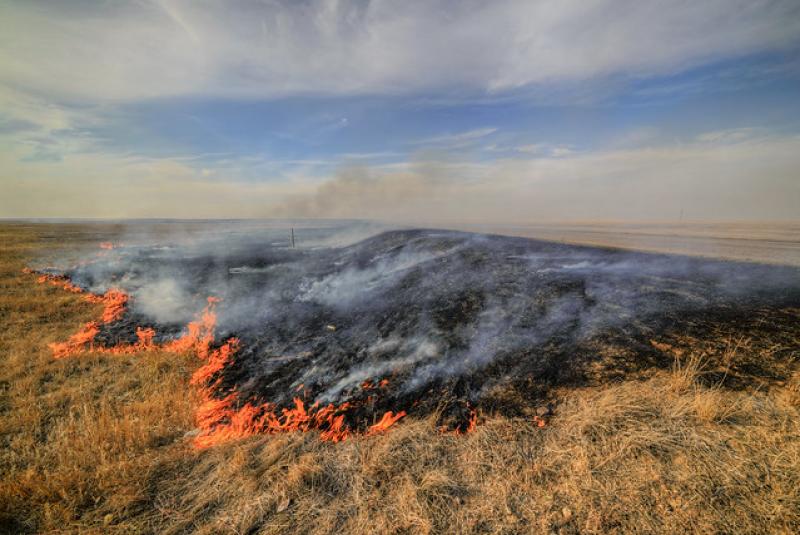 С начала года на Сахалине произошло более 1300 пожаров. В основном они происходят из-за банальной беспечности