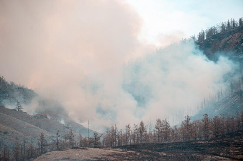 С начала сезона в республике зафиксировано 17 лесных пожаров