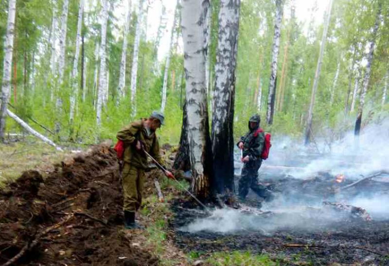 За минувшие сутки в лесном фонде Иркутской области ликвидировано 17 пожаров