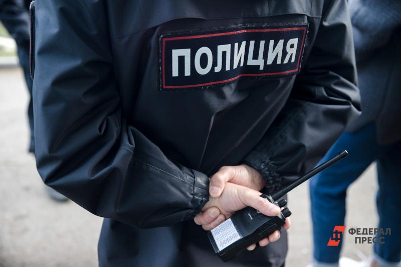 Хулиганов теперь разыскивает полиция Барабинска