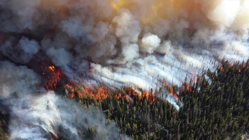 Пожарные не могут остановить огонь в провинции Альберта с конца мая.