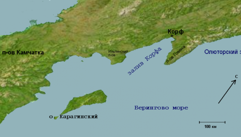 Карагинский остров законно отдали частной компании под охотничьи угодья– прокуратура