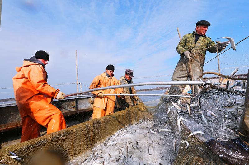 В Тюменской области планируют развивать рыбохозяйственную деятельность
