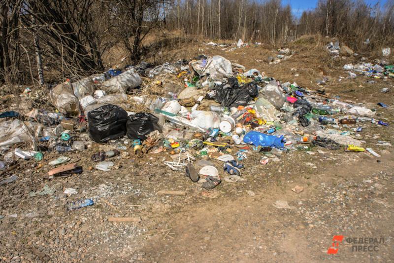 Отходы на несанкционированной свалке вблизи Рязани накапливались с 2009 года