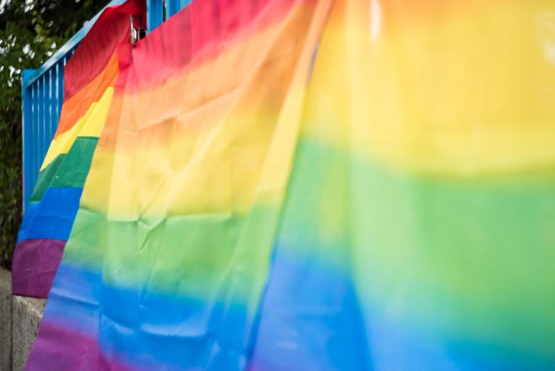 В СПЧ прокомментировали ситуацию с ЛГБТ-парой из Москвы