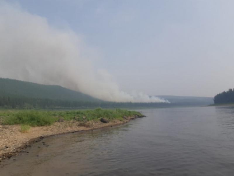 Медведев пообещал выделить дополнительные средства на борьбу с лесными пожарами в Сибири