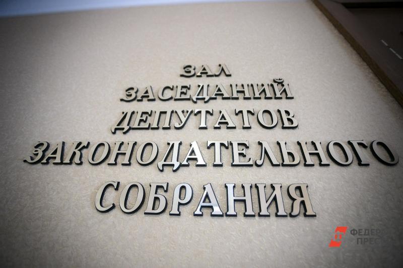 В Челябинске выборы в областной парламент могут пройти по новым правилам