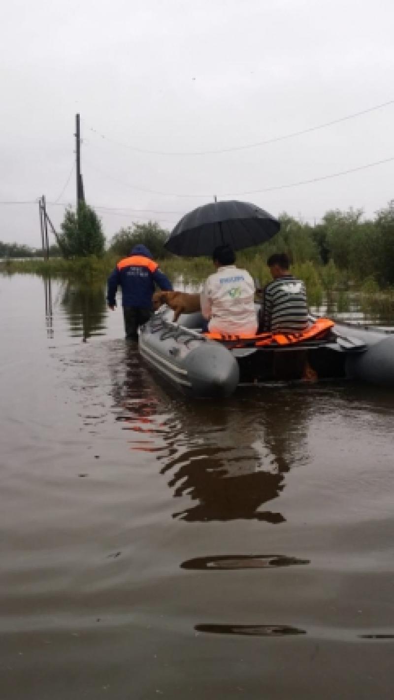 Число домов в Хабаровске, пострадавших от паводка, возросло почти в десять раз