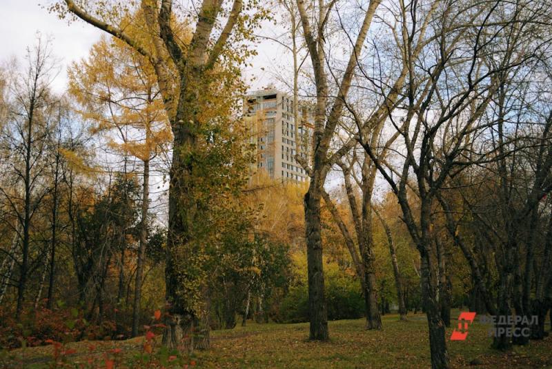 В Екатеринбурге 19 парков получат особый статус, защищающий их от застройки