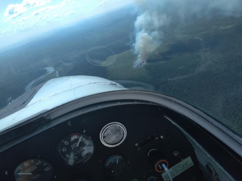 Авиация Минобороны ликвидировала лесные пожары на 113 тысячах гектаров