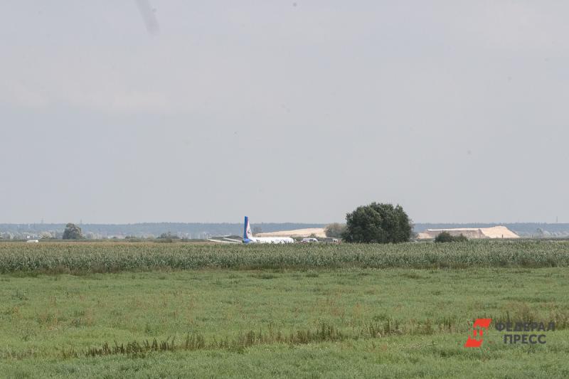Самолет «Уральских авиалиний» совершил аварийную посадку на кукурузном поле