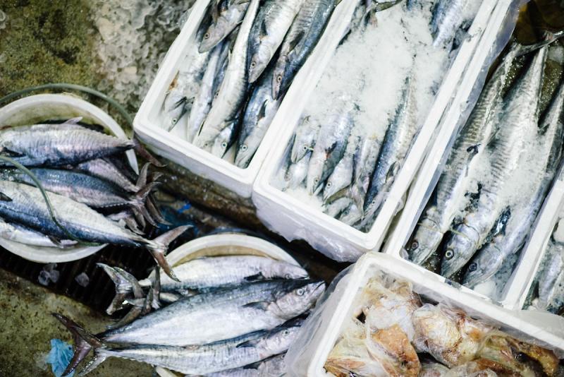 Россияне потребляют рыбы на пять килограммов меньше нормы