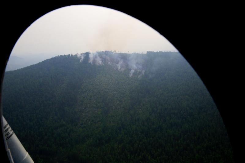 Авиация Минобороны и МЧС потушила 23 тысячи гектаров лесных пожаров за сутки