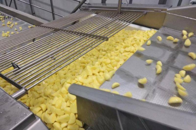 В Тюменской области торжественно открыли завод по переработке картофеля