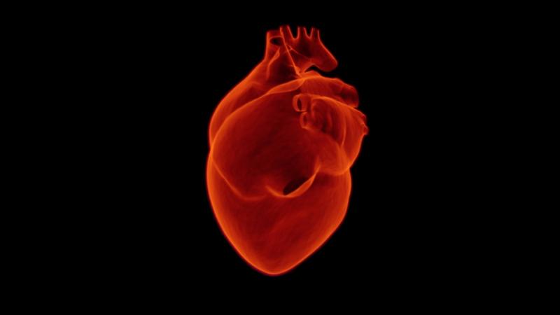 Биоматериал может улучшить работу сердца после инфаркта миокарда